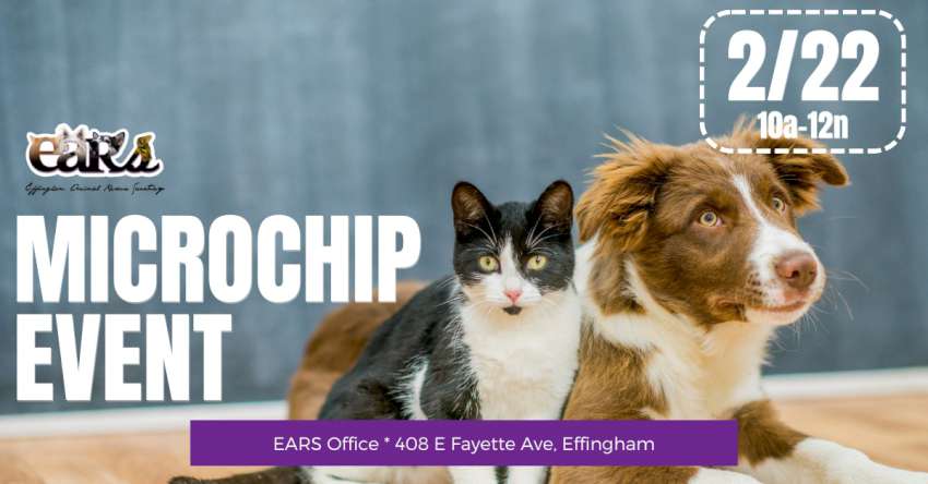 222 microchip event 850