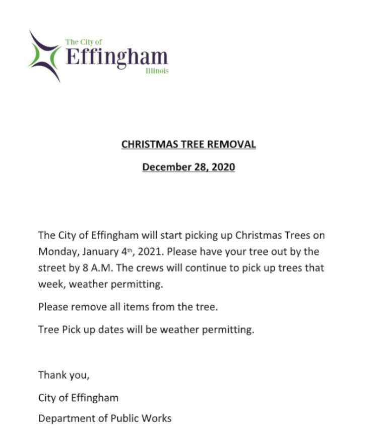 Christmas Tree Removal 850