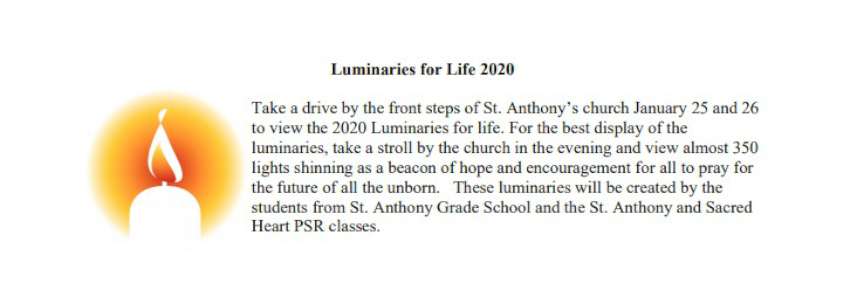 Luminaries for Life 2020 850