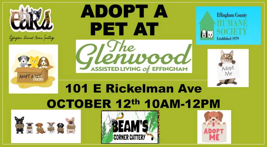 adopt glenwood 850