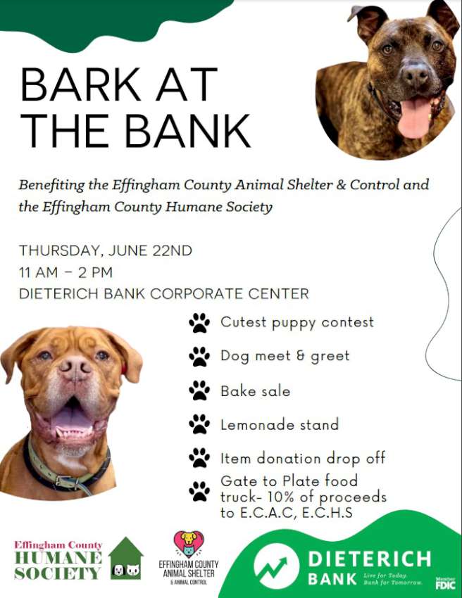 bark at the bank 2023 850