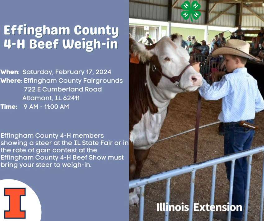 beef weigh in 2024 850