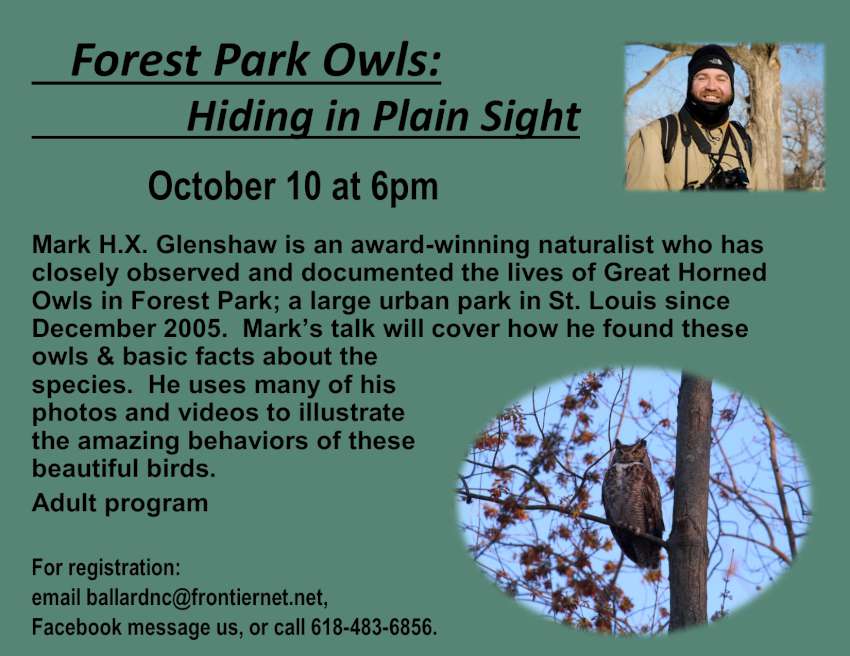 forest park owl 850