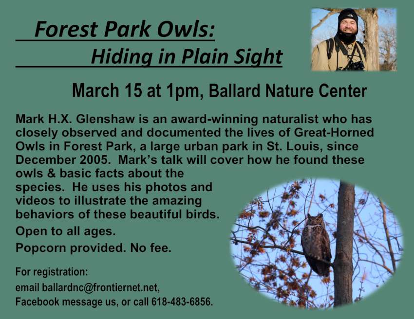 forest park owlMarch 2025 850