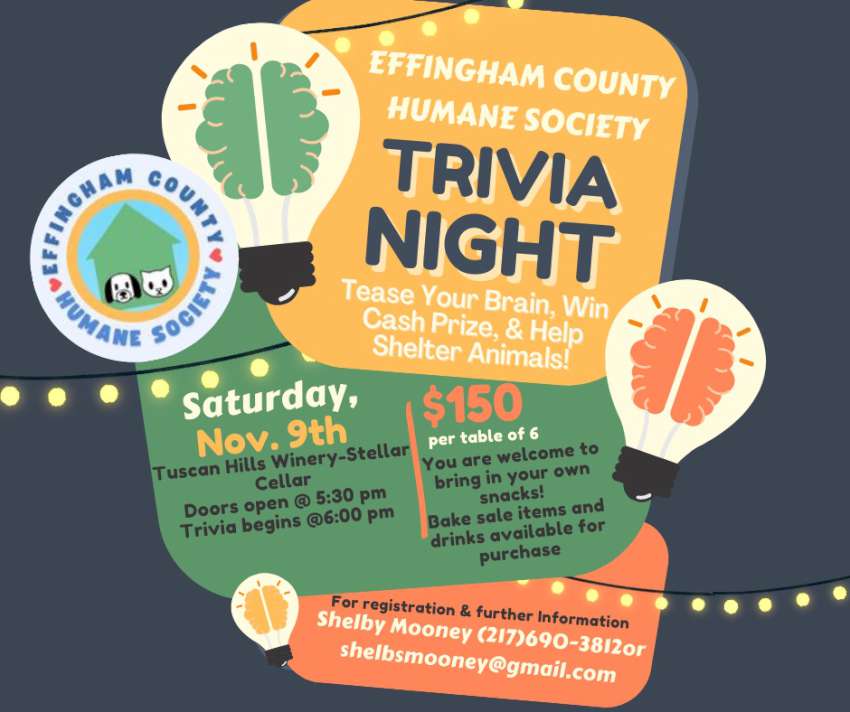 trivia echs november 850