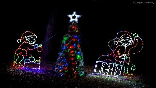 Wonderland in Lights 640